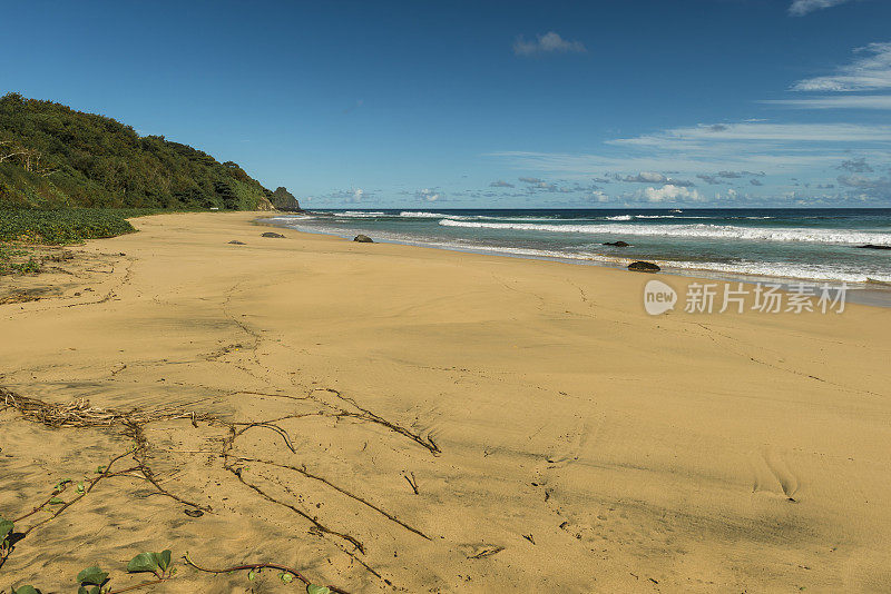 巴西费尔南多·德·诺罗尼哈(Praia do Boldro)